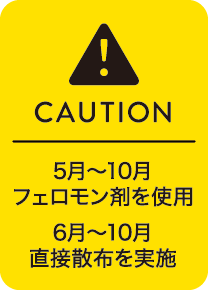 クラウドファンディング募集中
